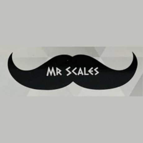 MR SCALES