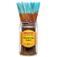 front view of aqua stalked wild berry Pounding Surf incense sticks. made in the USA these sticks perfectly capture the essence of the salty sea spray, fresh ozone and clean coastal air. 