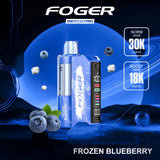 Foger Switch Pro 30000 Puffs Disposable Vape Kit 5CT/Display