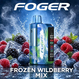 Foger Switch Pro 30000 Puffs Disposable Vape Kit 5CT/Display