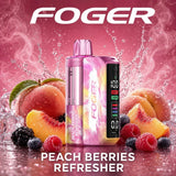 Foger Switch Pro 30000 Puffs Disposable Vape Kit 5CT/Display