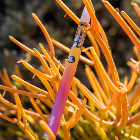 View of the Ugly slim twist battery in a orange and purple gradient known as the sunset color.