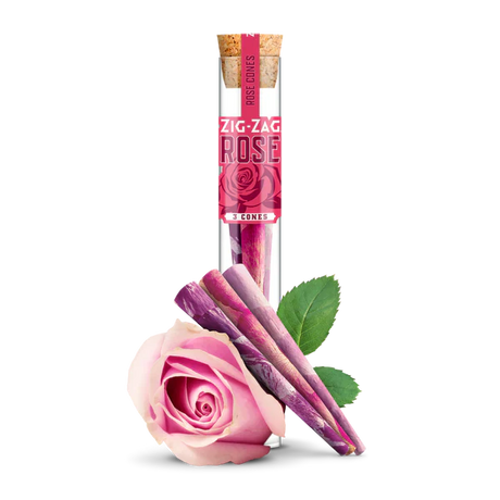 Front view of a single clear plastic tube with pink branding containing three Zig-Zag Rose Cones. These premium pre-rolled cones offer a highly aromatic and visually stunning alternative to standard paper cones.